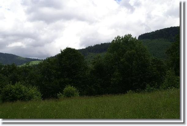 Nächstes Bild