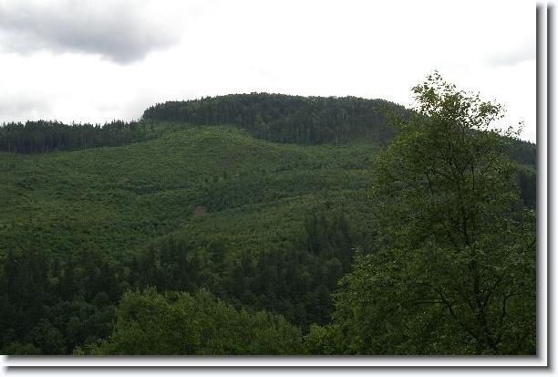 Nächstes Bild