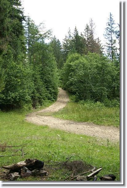 Nächstes Bild