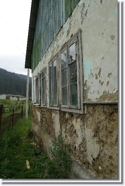 Nächstes Bild