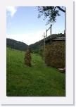 PICT2743 * schoene Natur * 410 x 612 * (50KB)