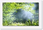 PICT2776 * und die Sonne waermt * 612 x 410 * (81KB)