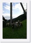 PICT2810 * das Vieh der alten Frau * 410 x 612 * (39KB)