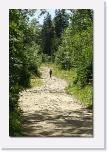PICT2840 * und ein langer Weg * 410 x 612 * (92KB)