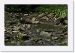 PICT2859 * durch die Natur * 612 x 410 * (70KB)
