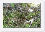PICT2865 * alles zum Anfassen * 612 x 410 * (67KB)