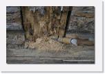 PICT3082 * auch wenn etwas hoffnungslos aussieht * 612 x 410 * (51KB)