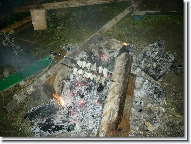 Nächstes Bild