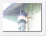 P1030269 * 612 x 461 * (25KB)