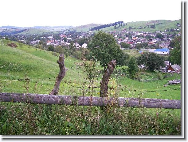 Nächstes Bild