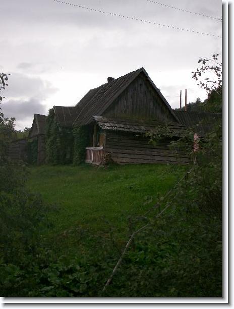 Nächstes Bild