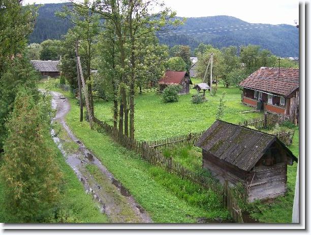 Nächstes Bild