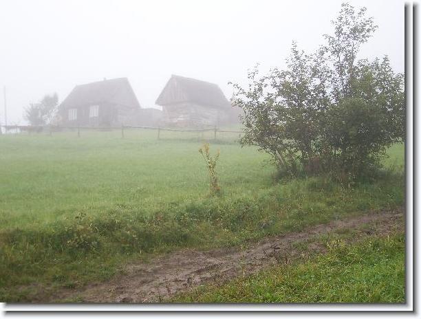 Nächstes Bild