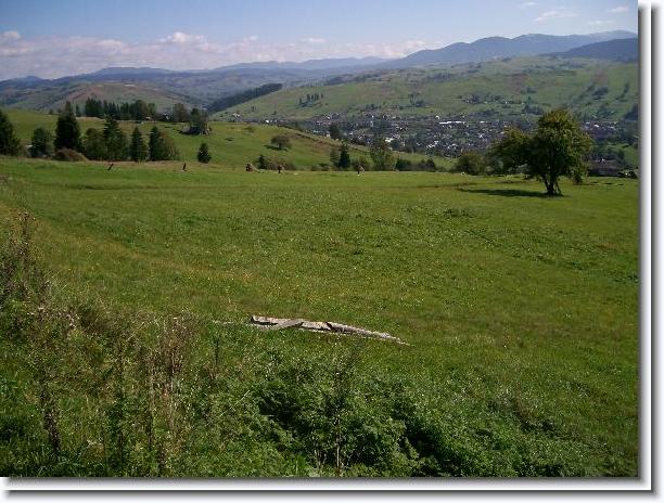 Nächstes Bild