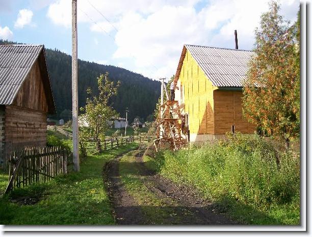 Nächstes Bild