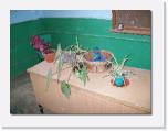 100_0060 * der Lehrertisch * 612 x 462 * (42KB)