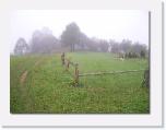 100_0187 * frueh am morgen um in die Pilze zu gehen * 612 x 462 * (45KB)