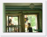 P1030334 * die Fenster muessen von innen abgedichtet werden * 612 x 461 * (42KB)